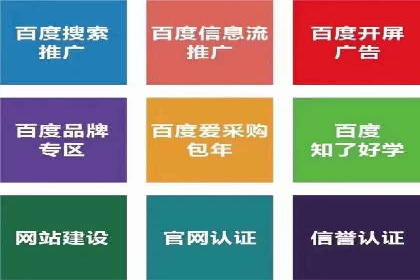 行业专家解析SEM代运营成功案例
